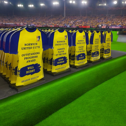 Shirt trophy, high gloss, personalised trophies