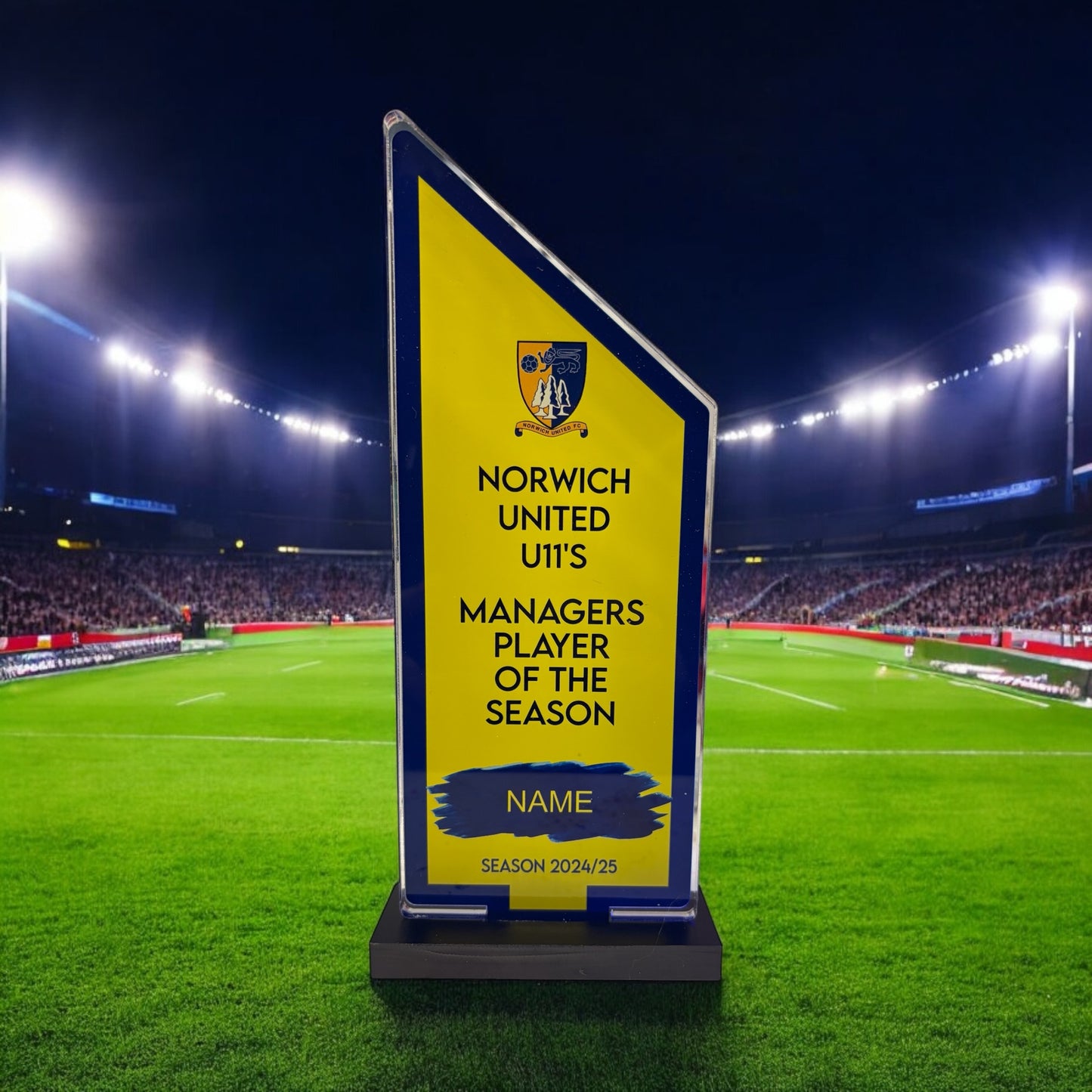 Pointed rectangle trophy, high gloss, personalised trophies