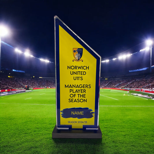 Pointed rectangle trophy, high gloss, personalised trophies