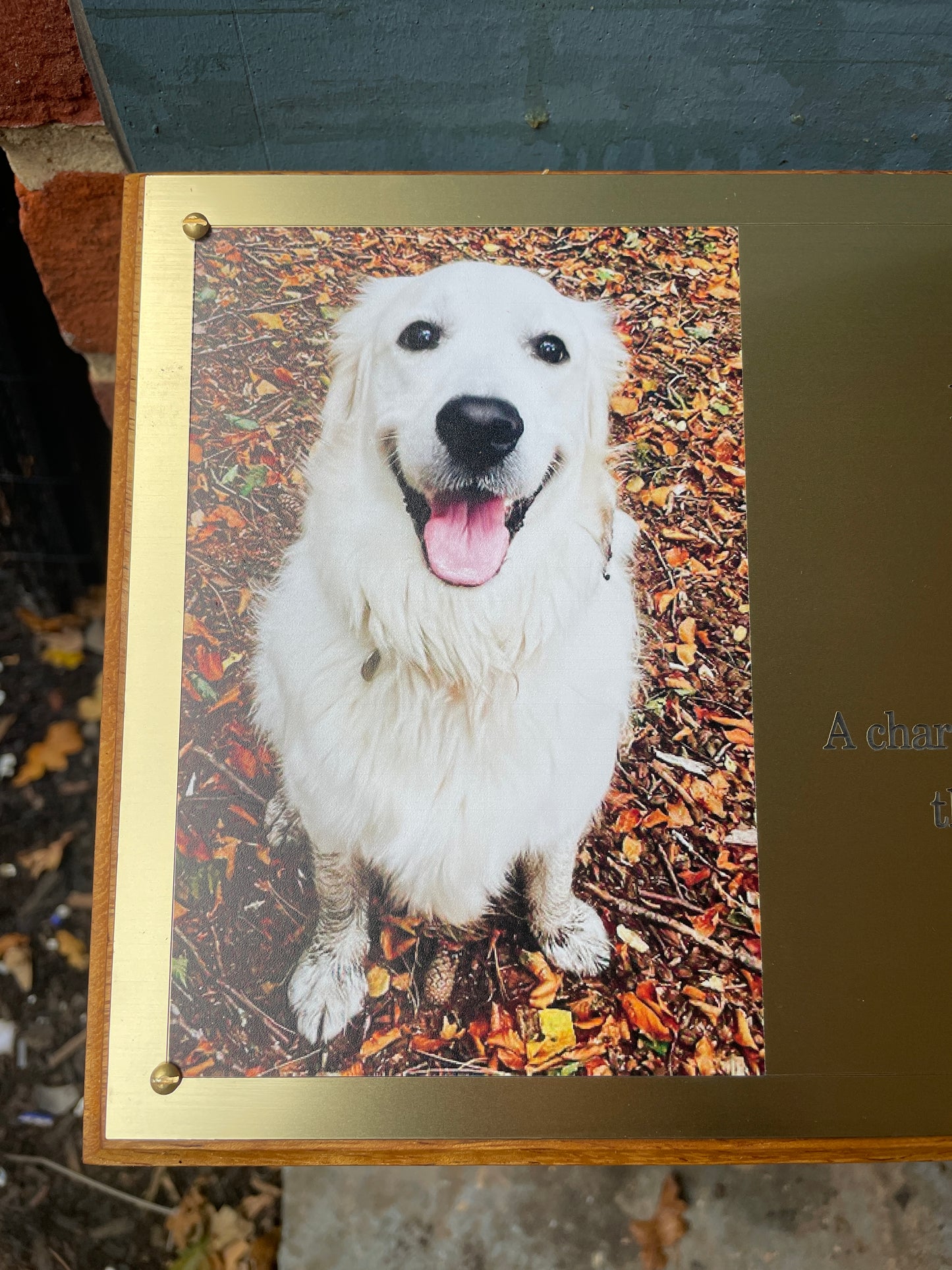 Pet Memorial Plaques